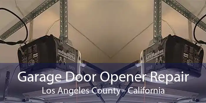 Garage Door Opener Repair Los Angeles County - California