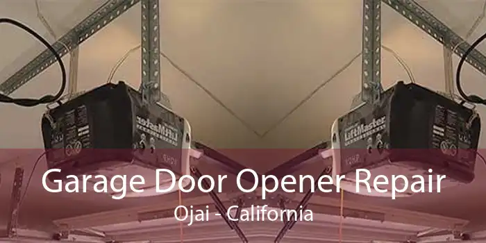 Garage Door Opener Repair Ojai - California