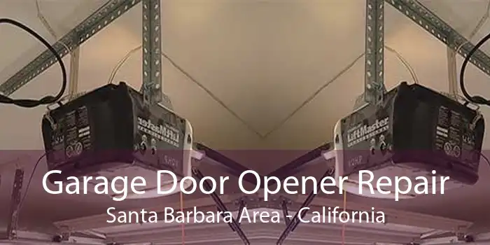 Garage Door Opener Repair Santa Barbara Area - California