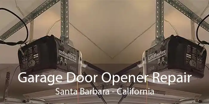 Garage Door Opener Repair Santa Barbara - California