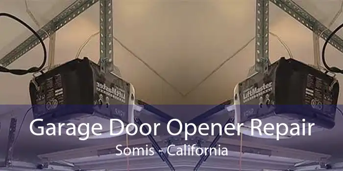 Garage Door Opener Repair Somis - California