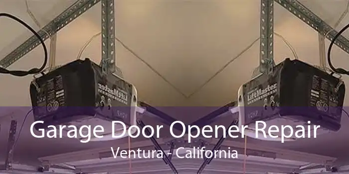 Garage Door Opener Repair Ventura - California