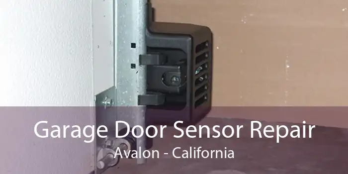 Garage Door Sensor Repair Avalon - California