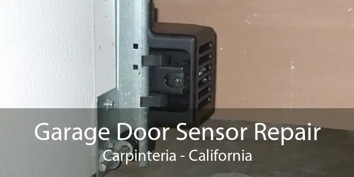 Garage Door Sensor Repair Carpinteria - California