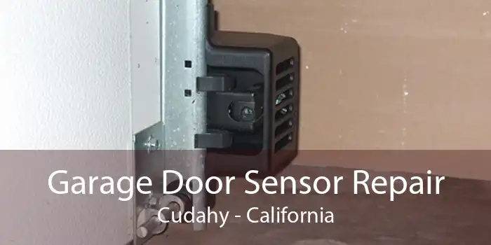 Garage Door Sensor Repair Cudahy - California