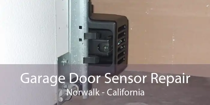 Garage Door Sensor Repair Norwalk - California