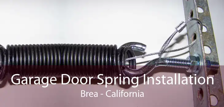 Garage Door Spring Installation Brea - California