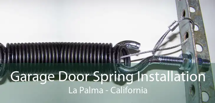 Garage Door Spring Installation La Palma - California