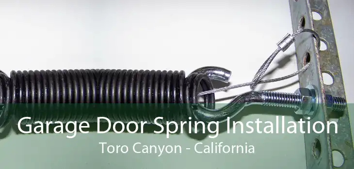 Garage Door Spring Installation Toro Canyon - California