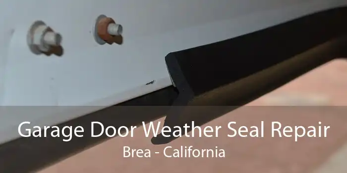 Garage Door Weather Seal Repair Brea - California