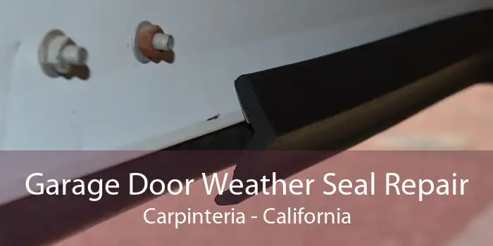 Garage Door Weather Seal Repair Carpinteria - California