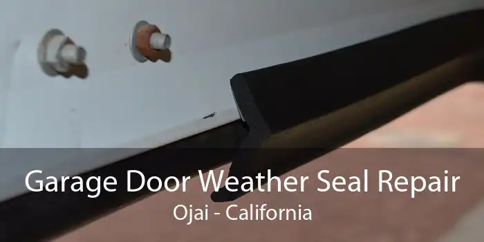 Garage Door Weather Seal Repair Ojai - California