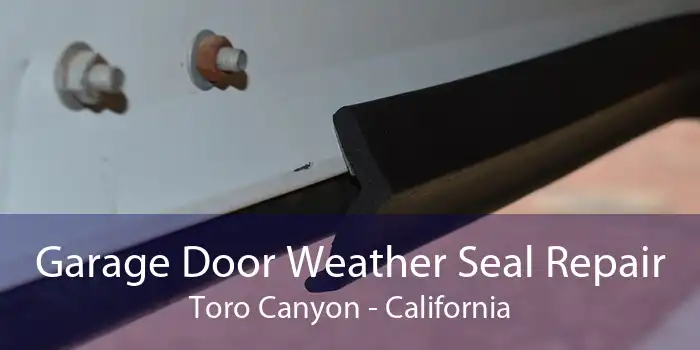 Garage Door Weather Seal Repair Toro Canyon - California